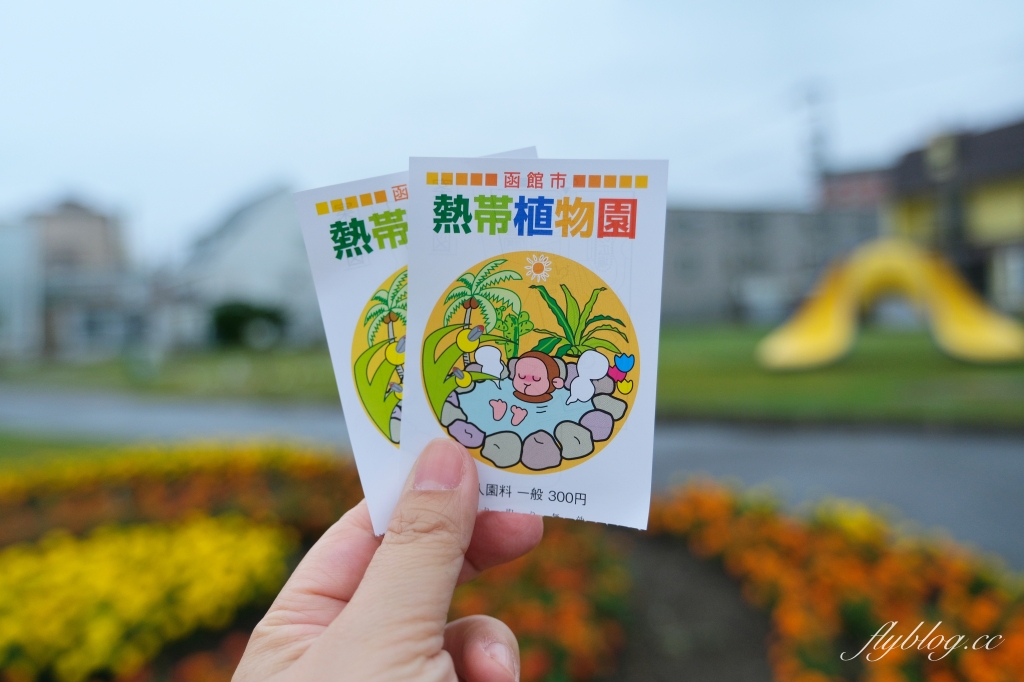 日本北海道｜函館市熱帶植物園．冬天欣賞彌猴泡溫泉秀，交通方式及門票費用介紹 @飛天璇的口袋