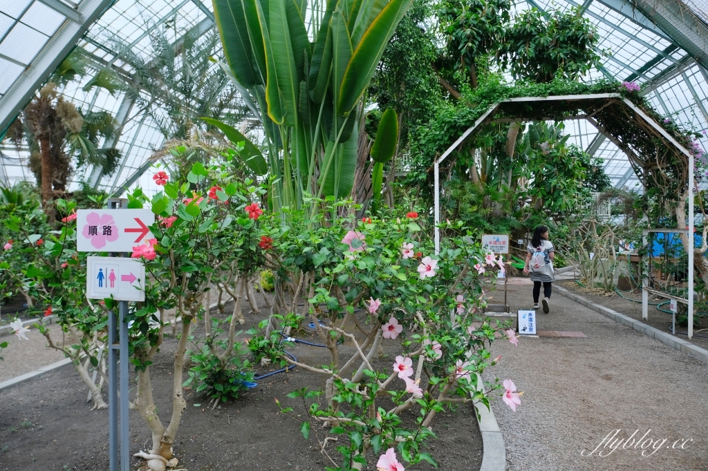 日本北海道｜函館市熱帶植物園．冬天欣賞彌猴泡溫泉秀，交通方式及門票費用介紹 @飛天璇的口袋