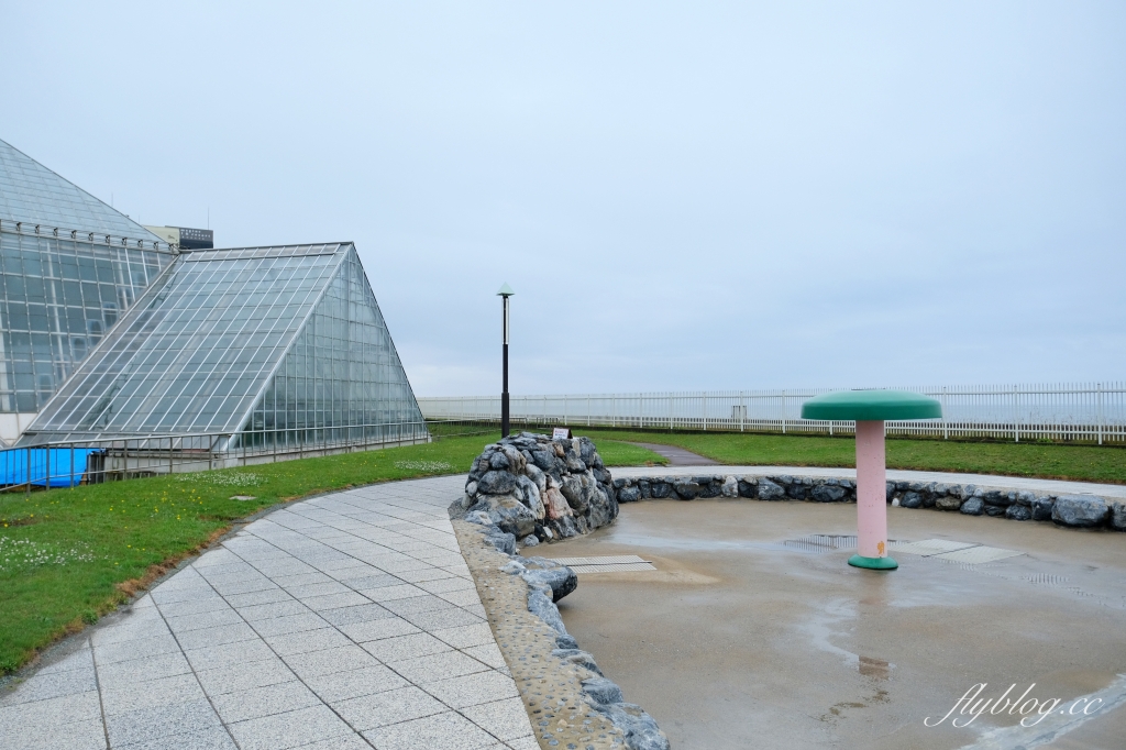 日本北海道｜函館市熱帶植物園．冬天欣賞彌猴泡溫泉秀，交通方式及門票費用介紹 @飛天璇的口袋