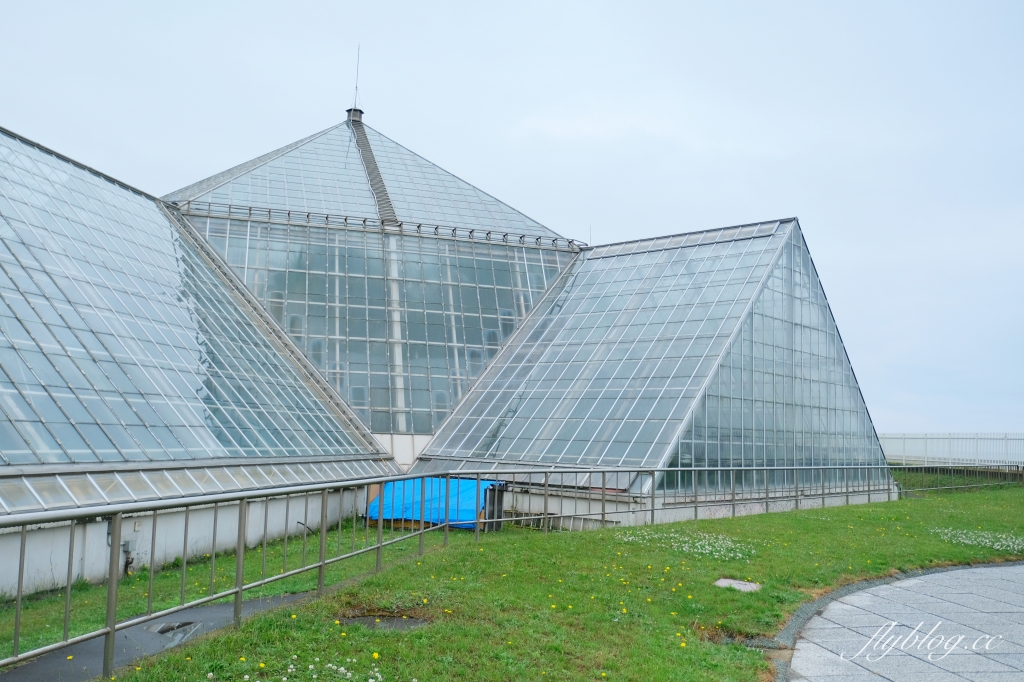 日本北海道｜函館市熱帶植物園．冬天欣賞彌猴泡溫泉秀，交通方式及門票費用介紹 @飛天璇的口袋