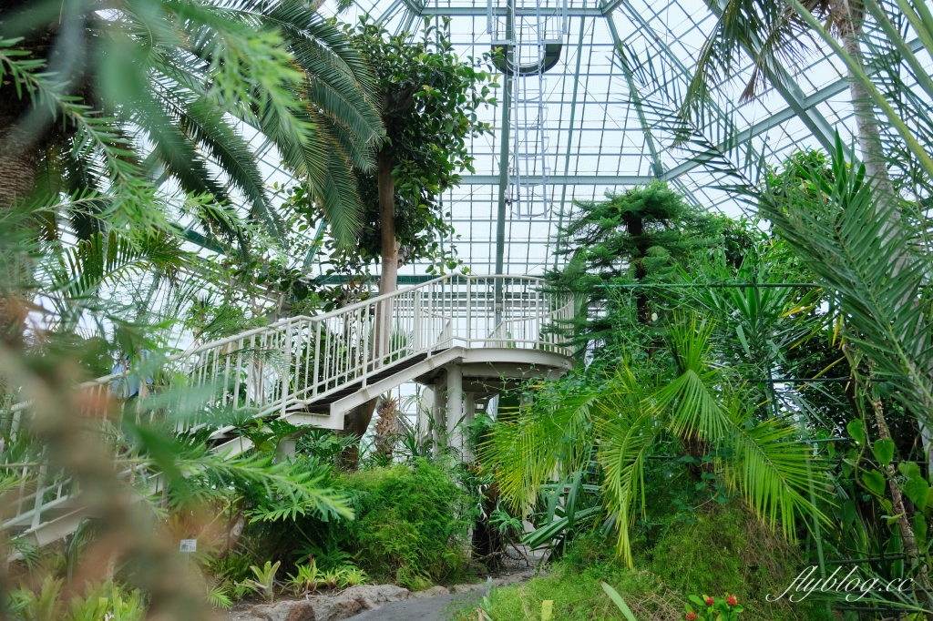 日本北海道｜函館市熱帶植物園．冬天欣賞彌猴泡溫泉秀，交通方式及門票費用介紹 @飛天璇的口袋