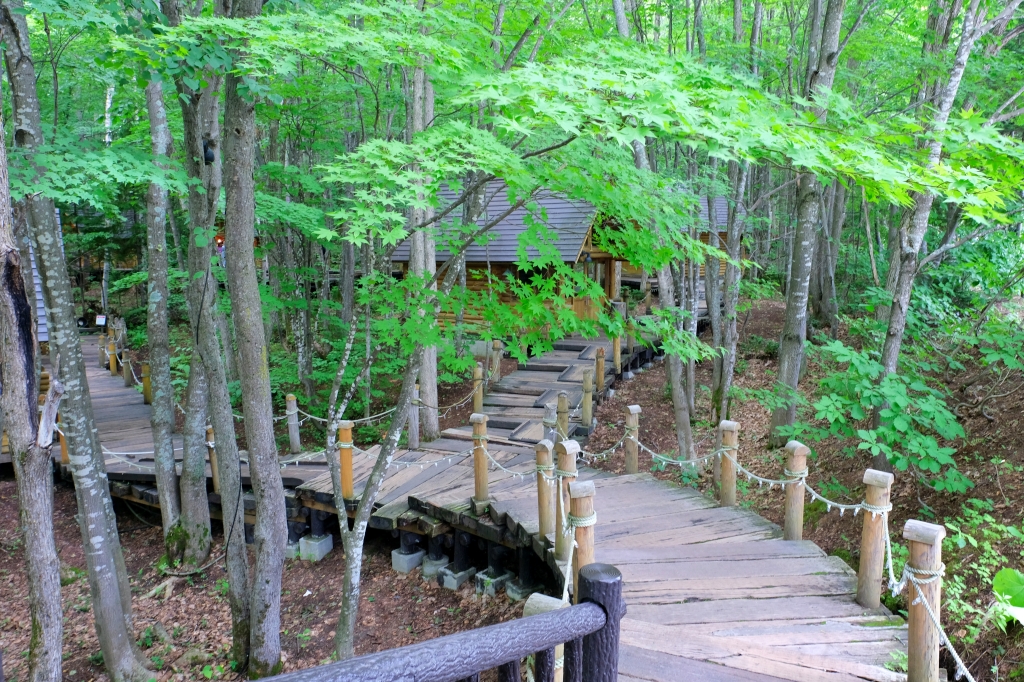 日本北海道｜森林精靈露台．富良野夢幻童話景點，森林裡的15間小木屋 @飛天璇的口袋