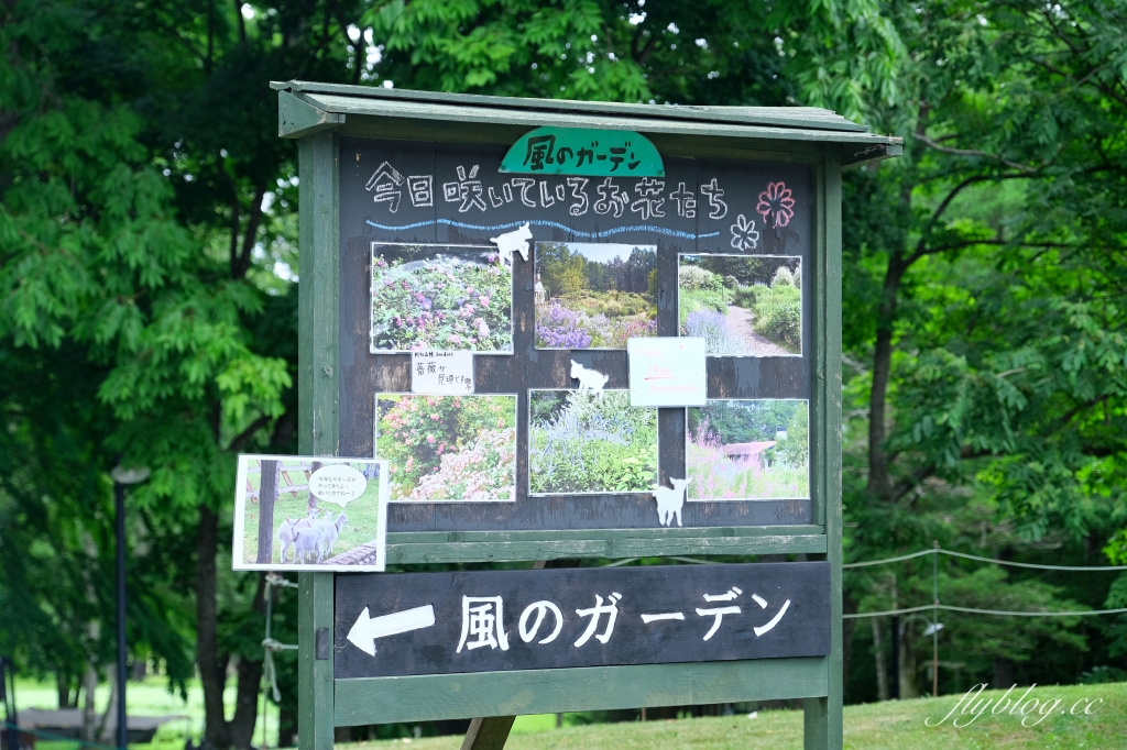 日本北海道｜森林精靈露台．富良野夢幻童話景點，森林裡的15間小木屋 @飛天璇的口袋