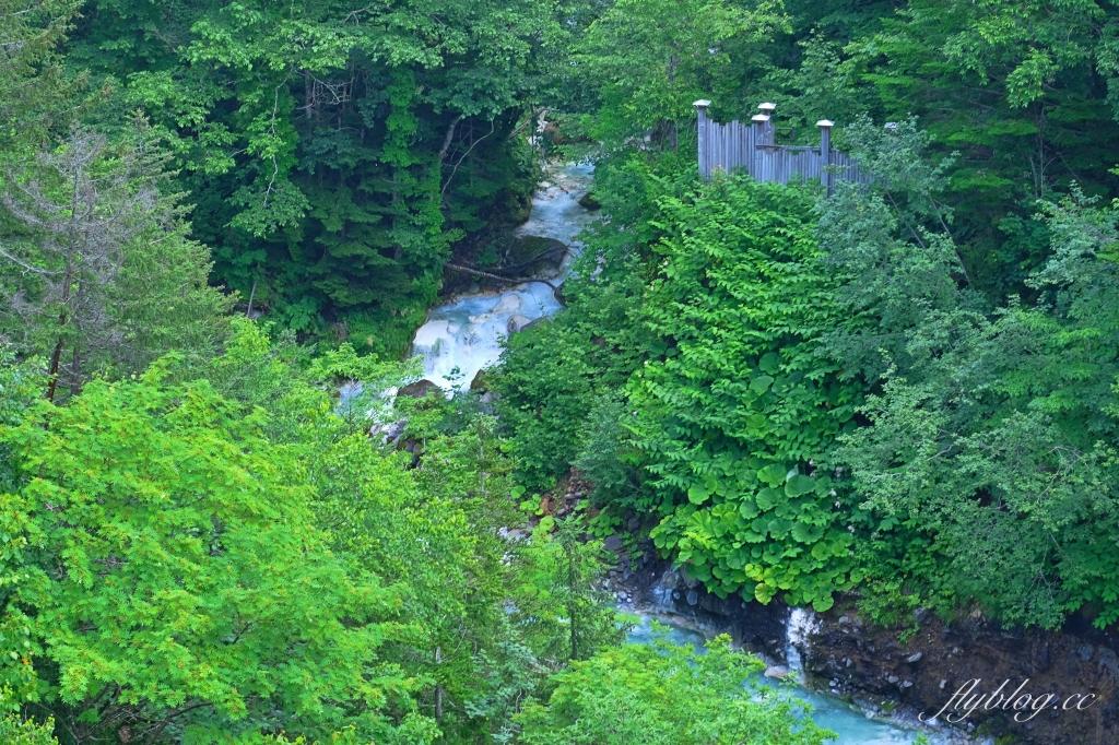 日本北海道｜白鬚瀑布．白金青池的源頭，美瑛町必遊景點 @飛天璇的口袋