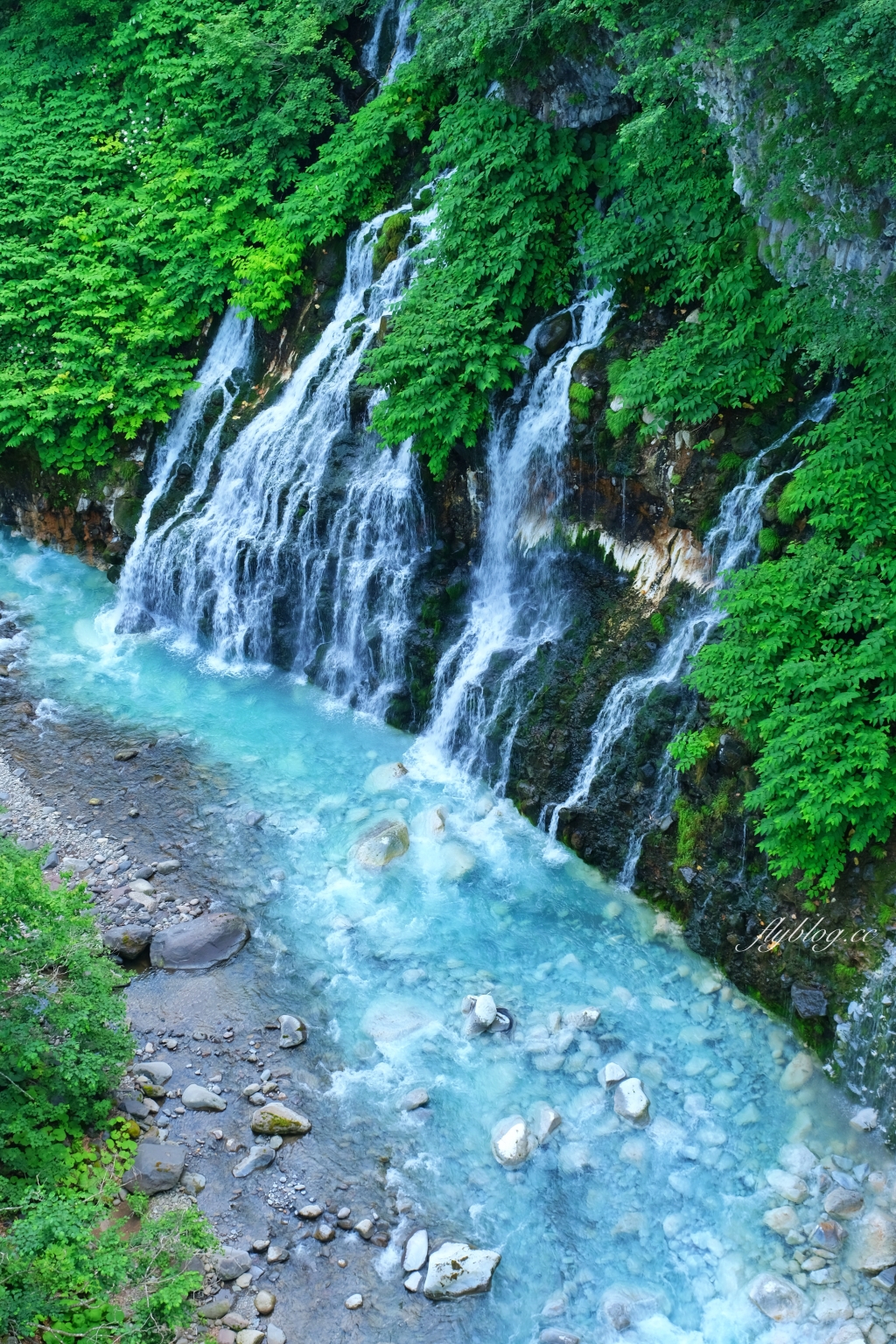 日本北海道｜白鬚瀑布．白金青池的源頭，美瑛町必遊景點 @飛天璇的口袋