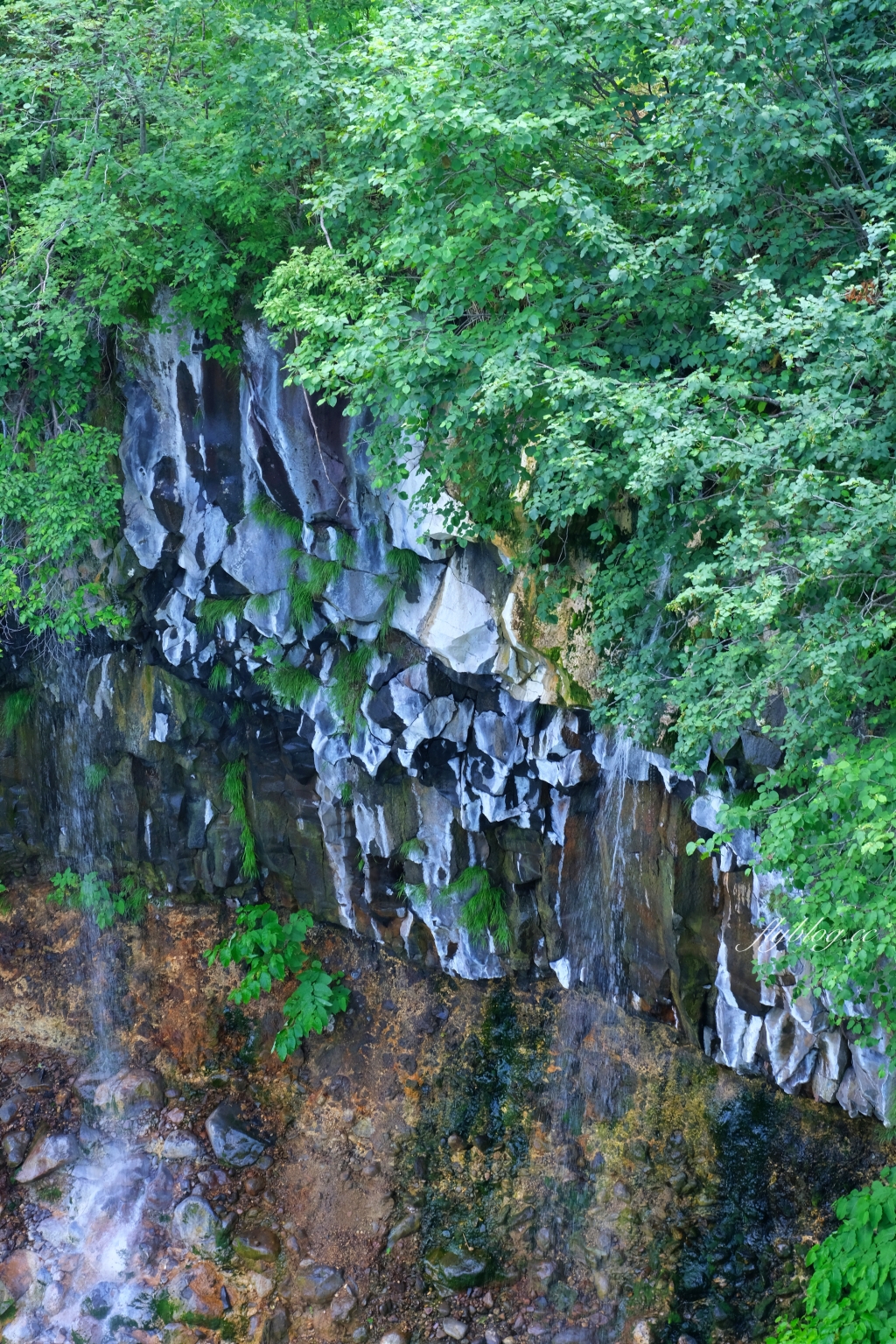 日本北海道｜白鬚瀑布．白金青池的源頭，美瑛町必遊景點 @飛天璇的口袋