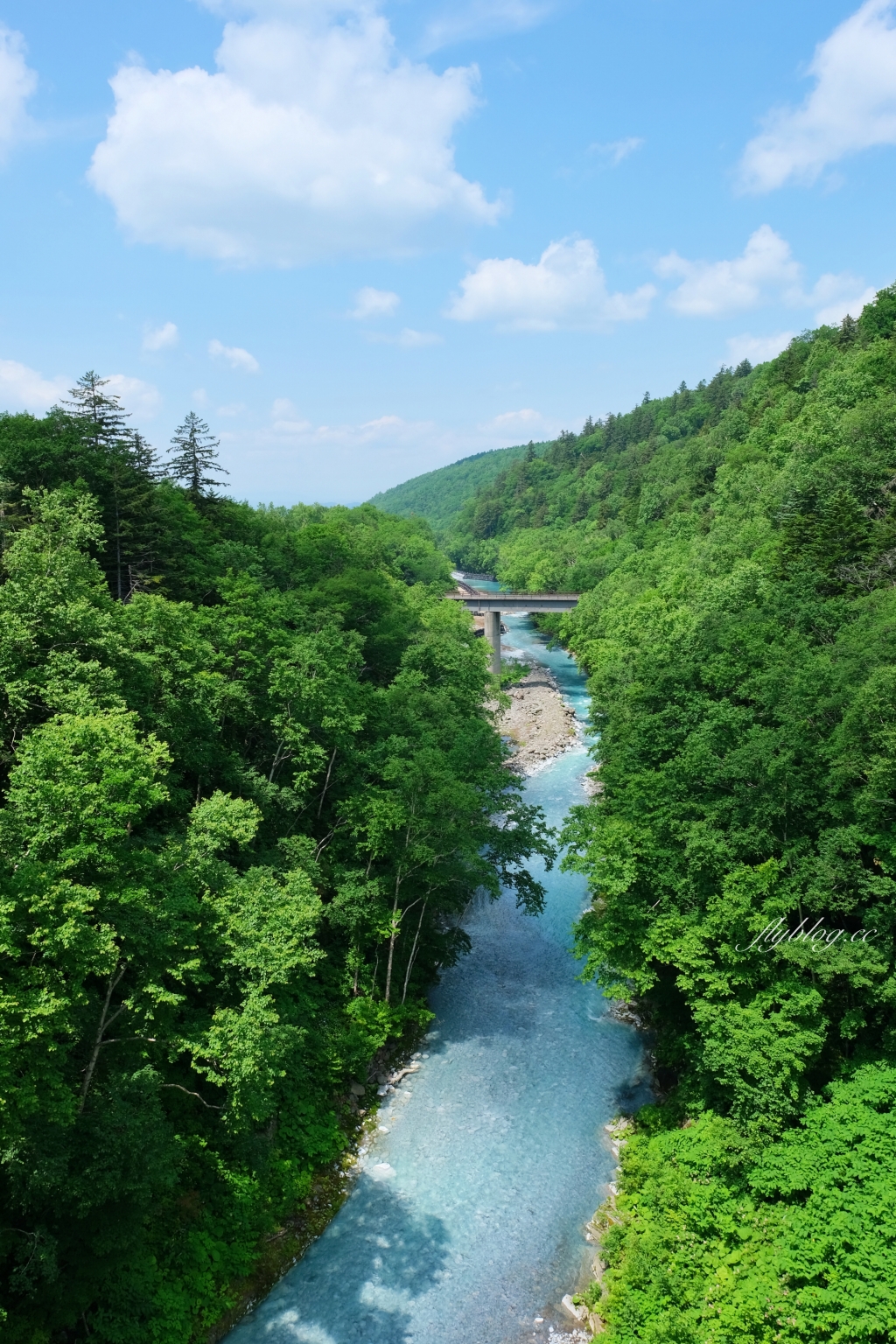 日本北海道｜白鬚瀑布．白金青池的源頭，美瑛町必遊景點 @飛天璇的口袋