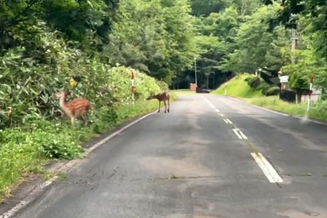 日本北海道｜北海道租車自駕．釧路車站前TOYOTA租車，道東自駕心得分享 @飛天璇的口袋