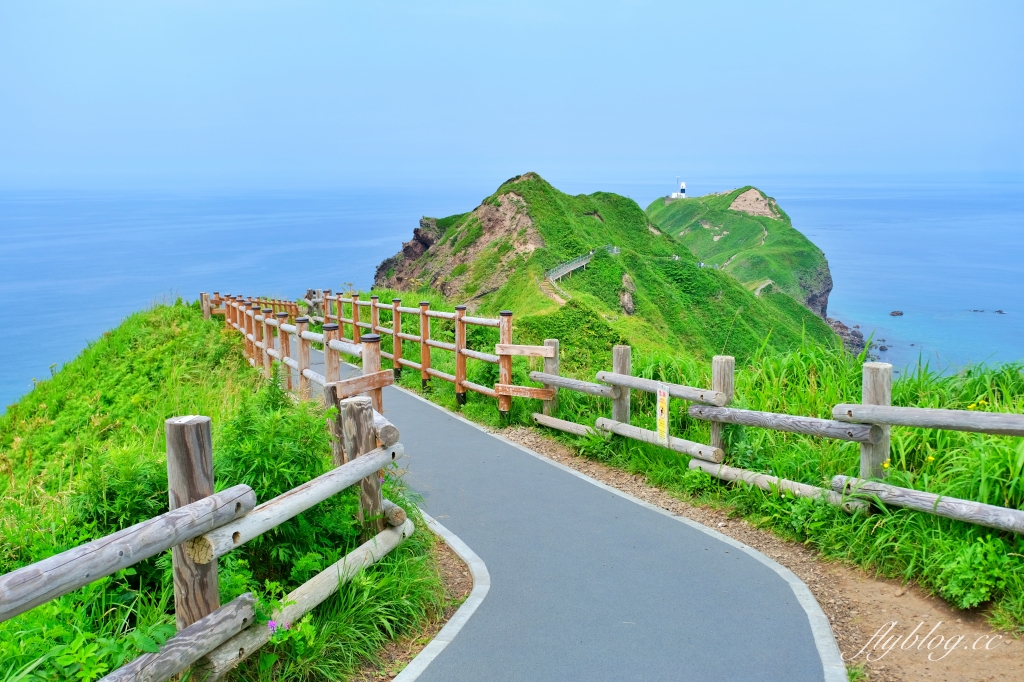 日本北海道｜神威岬．積丹半島超美絕景，必訪北海道三個藍之一 @飛天璇的口袋