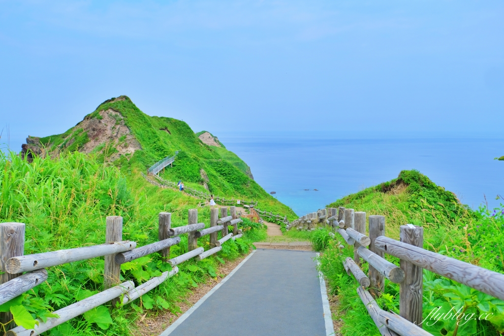 日本北海道｜神威岬．積丹半島超美絕景，必訪北海道三個藍之一 @飛天璇的口袋