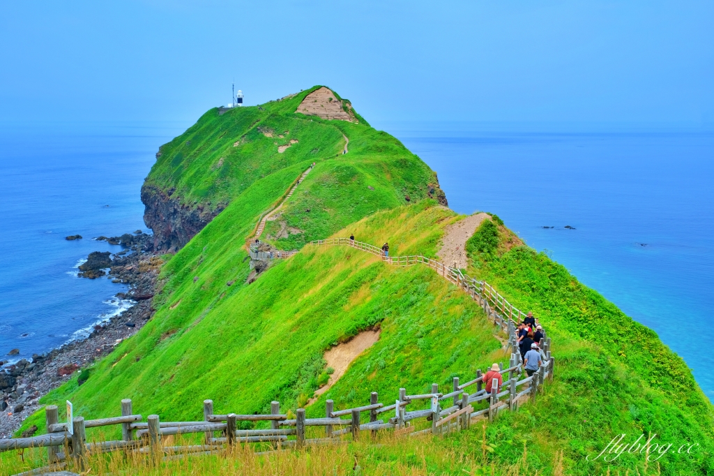 日本北海道｜食堂鱗晃．積丹半島必吃鮮甜海膽，北海道島武意海岸正前方 @飛天璇的口袋