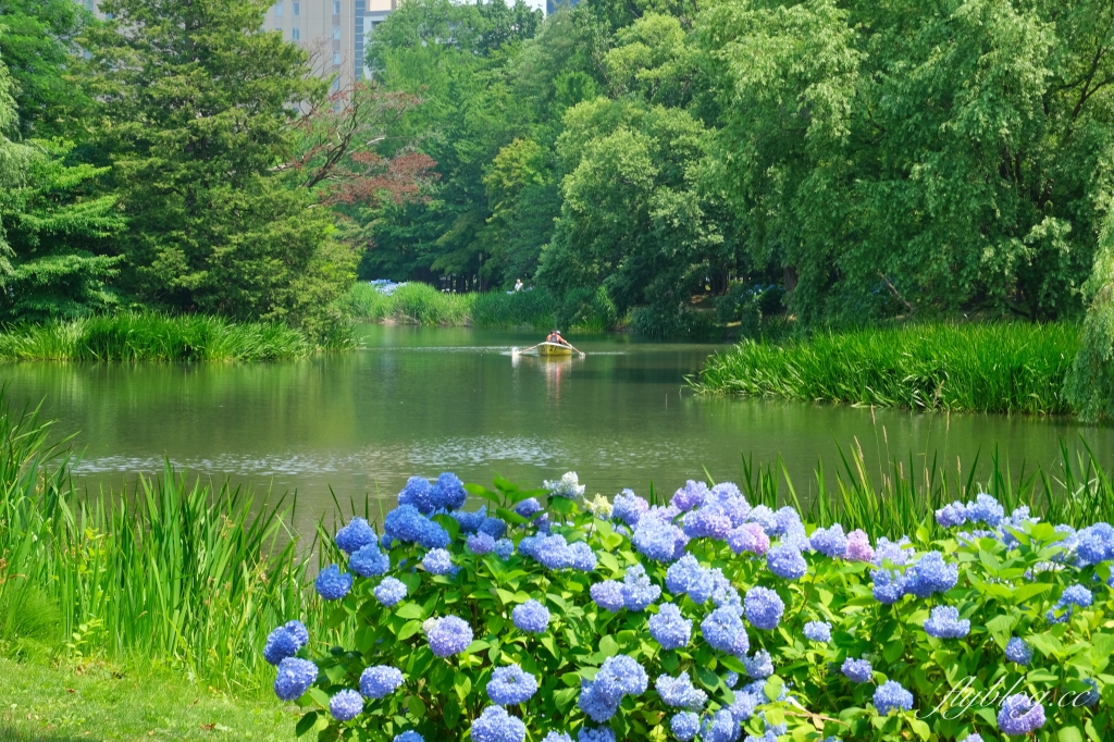 日本北海道｜中島公園．日劇《First Love 初戀》拍攝地，札幌市中心的小綠洲 @飛天璇的口袋