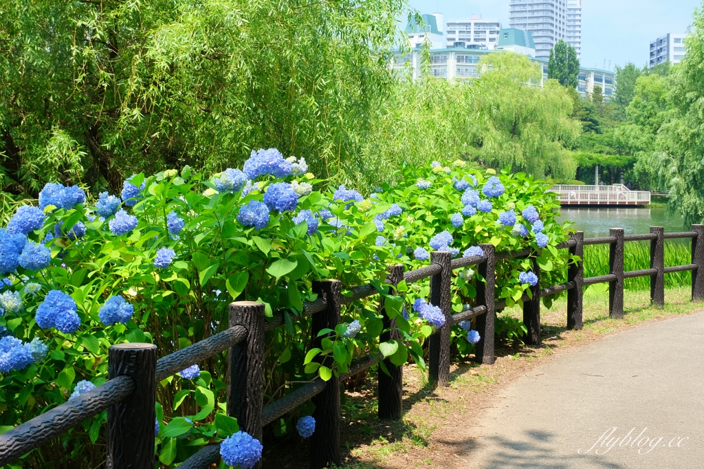 日本北海道｜中島公園．日劇《First Love 初戀》拍攝地，札幌市中心的小綠洲 @飛天璇的口袋