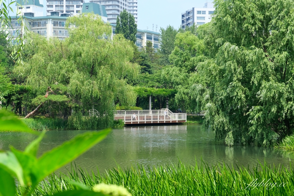 日本北海道｜中島公園．日劇《First Love 初戀》拍攝地，札幌市中心的小綠洲 @飛天璇的口袋