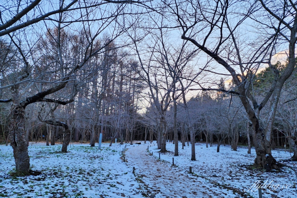 日本北海道｜北海道神宮．札幌必遊景點推薦，還可以品嚐六花亭點心 @飛天璇的口袋