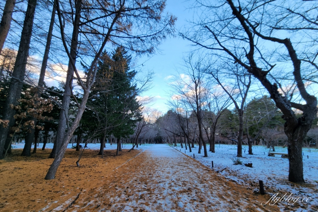 日本北海道｜北海道神宮．札幌必遊景點推薦，還可以品嚐六花亭點心 @飛天璇的口袋