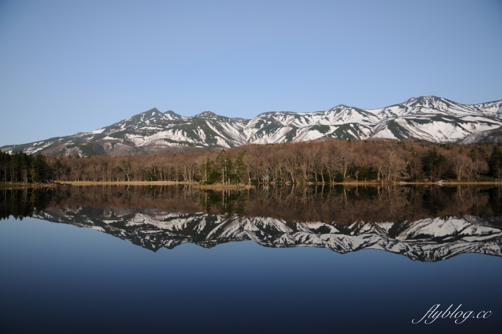 日本北海道｜知床國立公園．聯合國教科文組織登錄的世界遺產，知床五湖導覽時期及預約方式 @飛天璇的口袋