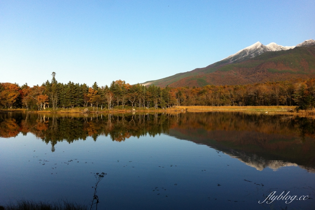 日本北海道｜知床國立公園．聯合國教科文組織登錄的世界遺產，知床五湖導覽時期及預約方式 @飛天璇的口袋