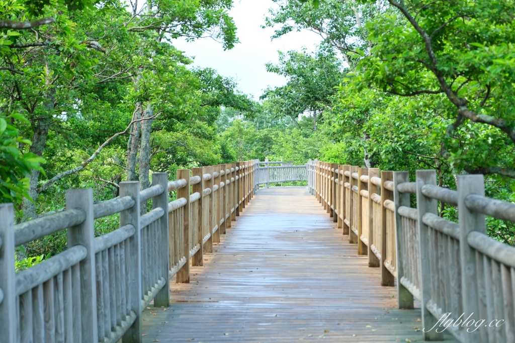 日本北海道｜知床國立公園．聯合國教科文組織登錄的世界遺產，知床五湖導覽時期及預約方式 @飛天璇的口袋