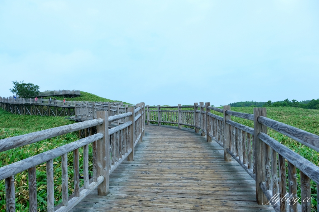 日本北海道｜知床國立公園．聯合國教科文組織登錄的世界遺產，知床五湖導覽時期及預約方式 @飛天璇的口袋