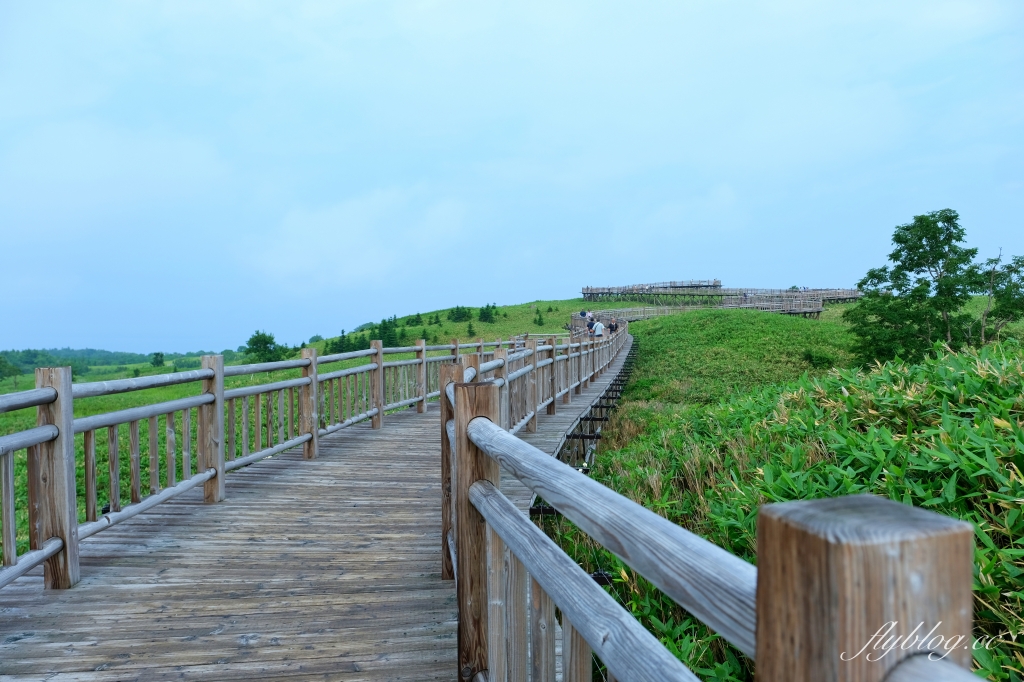 日本北海道｜知床國立公園．聯合國教科文組織登錄的世界遺產，知床五湖導覽時期及預約方式 @飛天璇的口袋