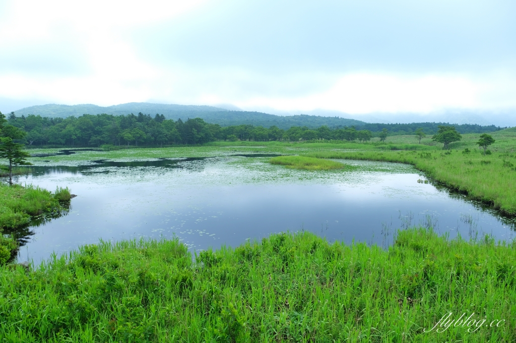 日本北海道｜知床國立公園．聯合國教科文組織登錄的世界遺產，知床五湖導覽時期及預約方式 @飛天璇的口袋