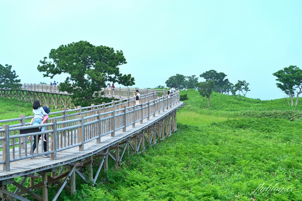 日本北海道｜知床國立公園．聯合國教科文組織登錄的世界遺產，知床五湖導覽時期及預約方式 @飛天璇的口袋