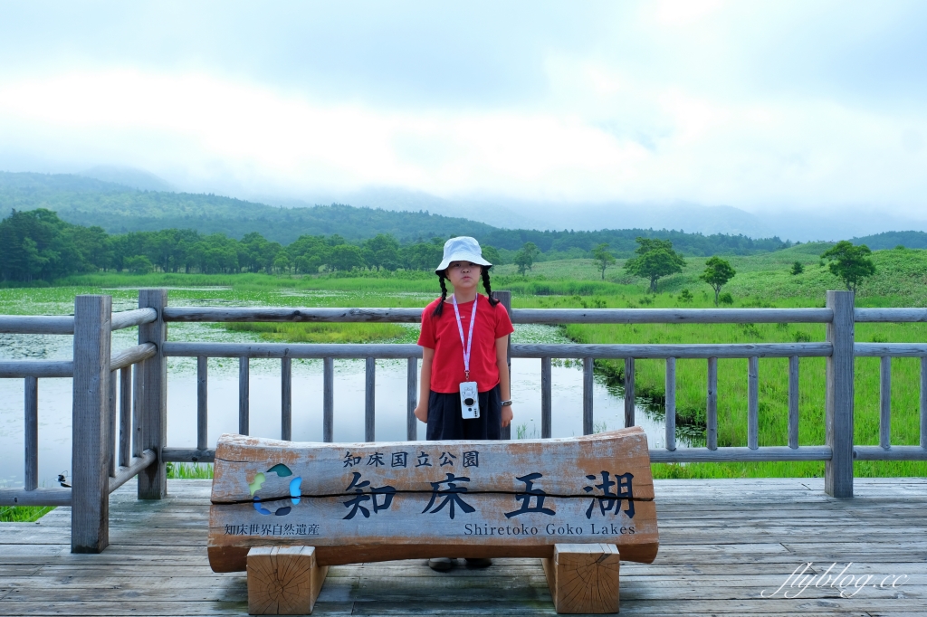 日本北海道｜知床國立公園．聯合國教科文組織登錄的世界遺產，知床五湖導覽時期及預約方式 @飛天璇的口袋