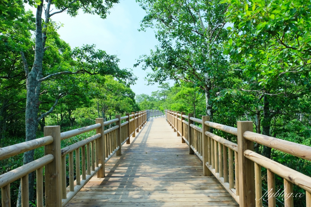 日本北海道｜知床國立公園．聯合國教科文組織登錄的世界遺產，知床五湖導覽時期及預約方式 @飛天璇的口袋