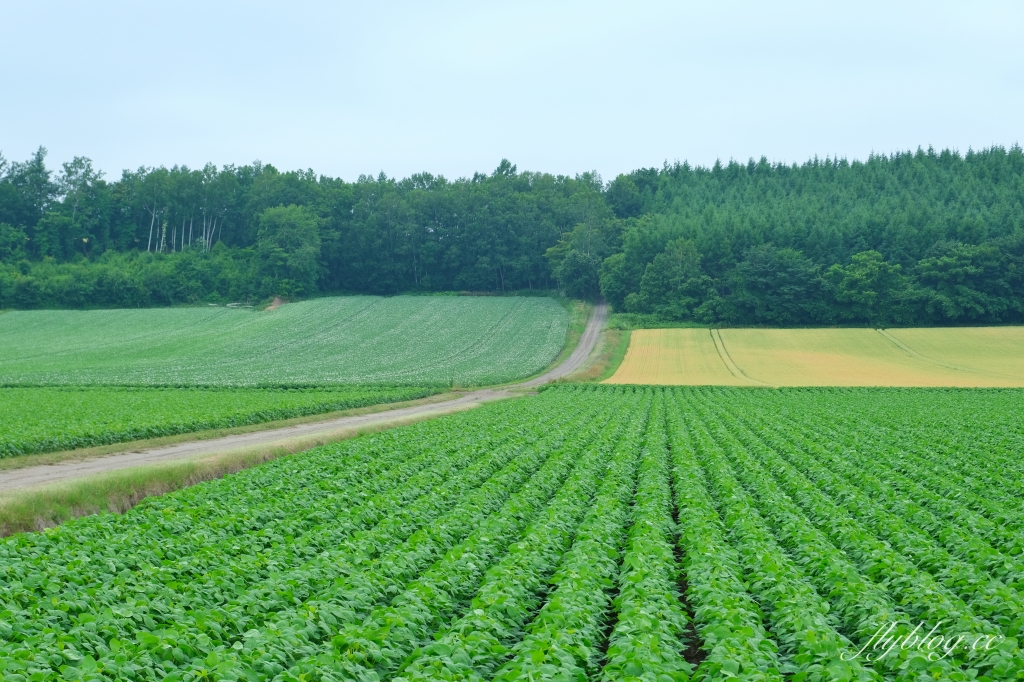 日本北海道｜知床國立公園．聯合國教科文組織登錄的世界遺產，知床五湖導覽時期及預約方式 @飛天璇的口袋