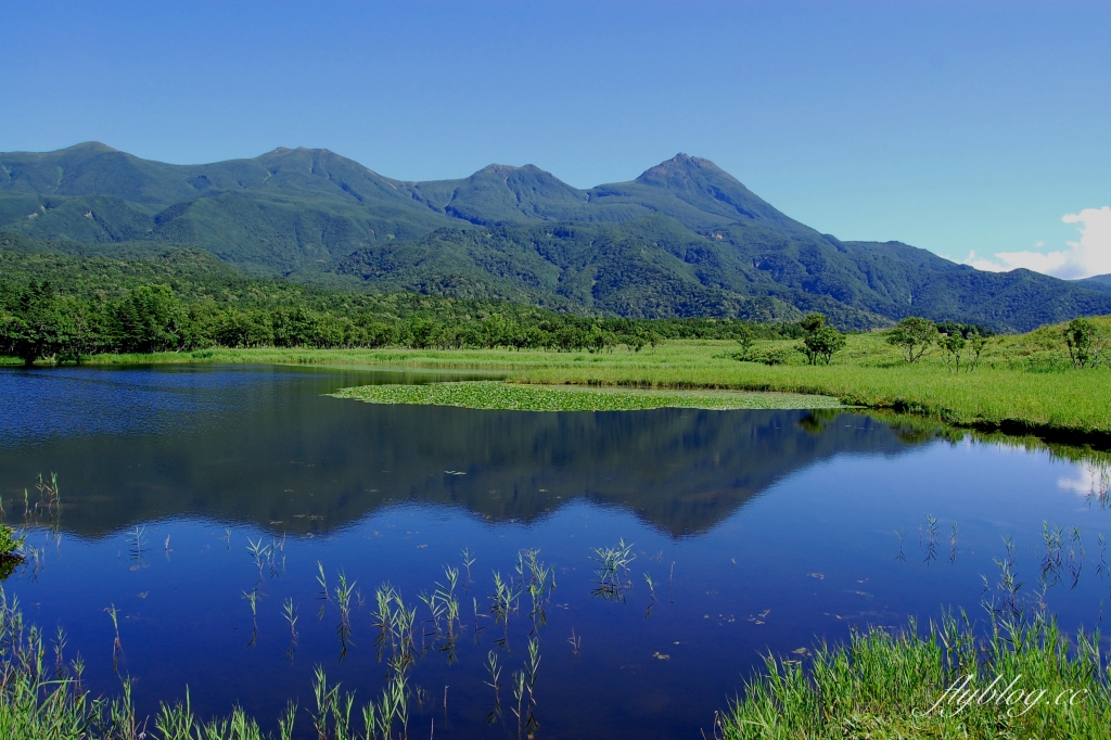 日本北海道｜知床國立公園．聯合國教科文組織登錄的世界遺產，知床五湖導覽時期及預約方式 @飛天璇的口袋