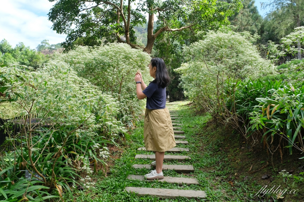 台中新社｜薰衣草森林．隱藏森林裡的奢華露營車，尋找可愛的阿尼斯特 @飛天璇的口袋