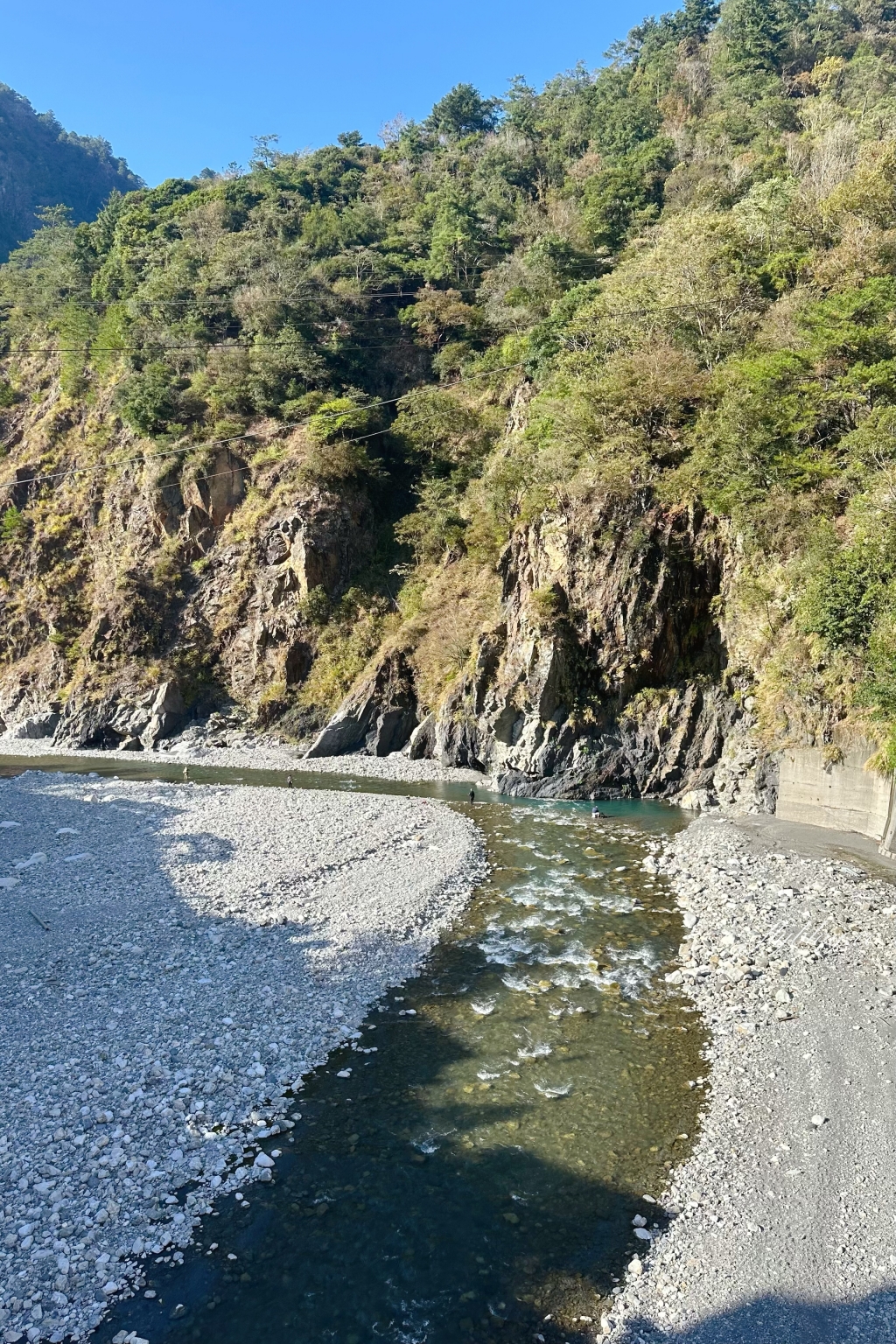 台中和平｜谷關一日遊路線．鱘龍魚料理、溫泉公園、谷關吊橋、明治老街，美食景點推薦 @飛天璇的口袋