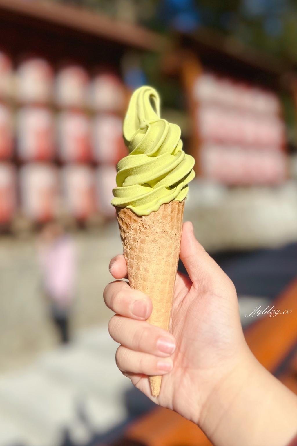 台中和平｜谷關一日遊路線．鱘龍魚料理、溫泉公園、谷關吊橋、明治老街，美食景點推薦 @飛天璇的口袋