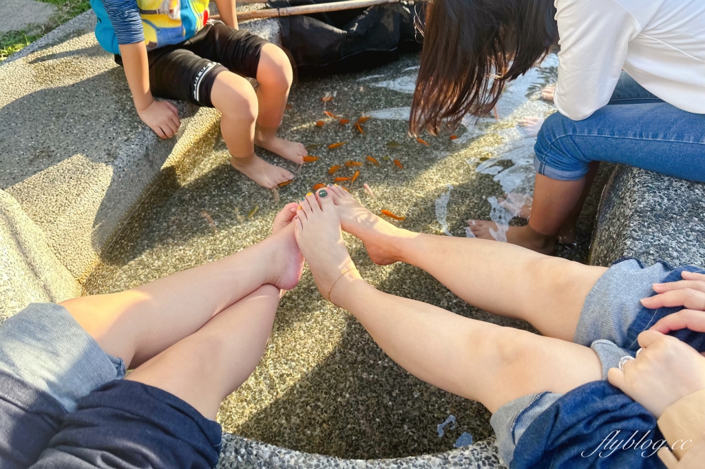 台中和平｜谷關一日遊路線．鱘龍魚料理、溫泉公園、谷關吊橋、明治老街，美食景點推薦 @飛天璇的口袋