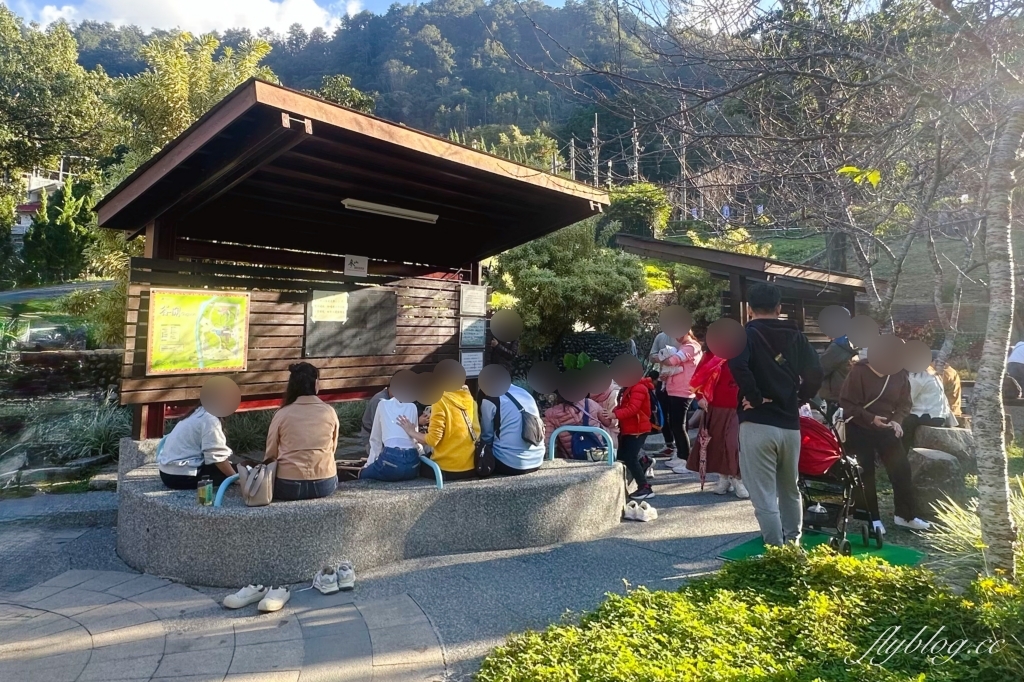 台中和平｜谷關一日遊路線．鱘龍魚料理、溫泉公園、谷關吊橋、明治老街，美食景點推薦 @飛天璇的口袋