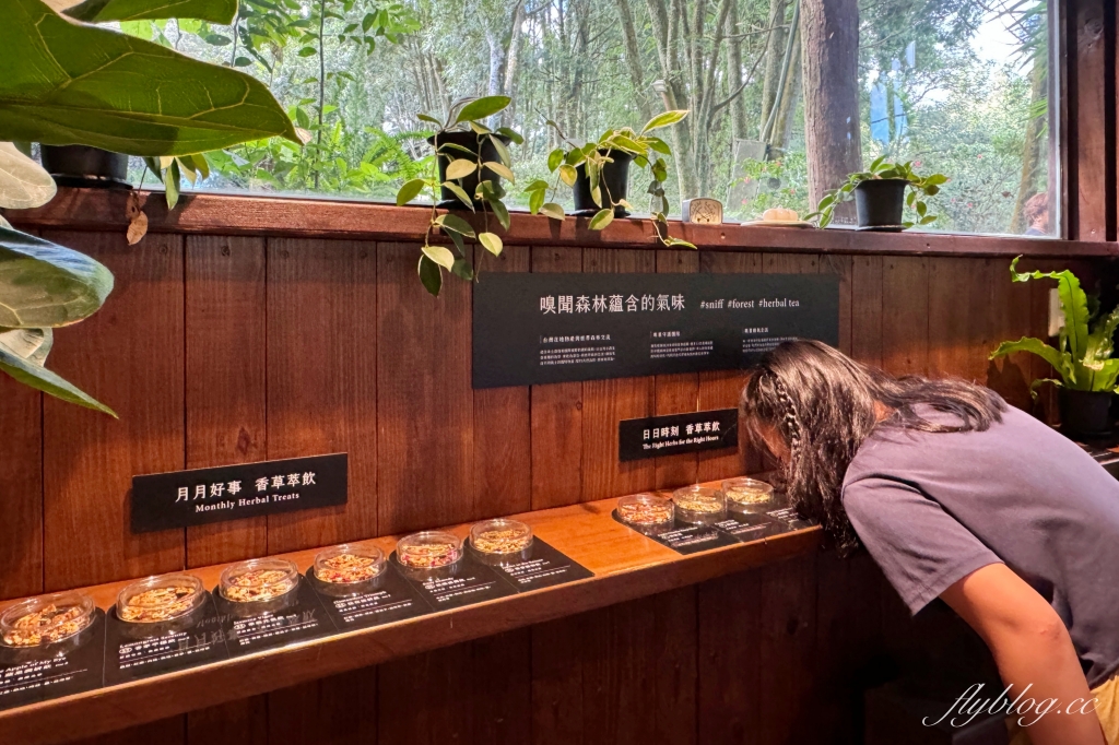 台中新社｜薰衣草森林．隱藏森林裡的奢華露營車，尋找可愛的阿尼斯特 @飛天璇的口袋