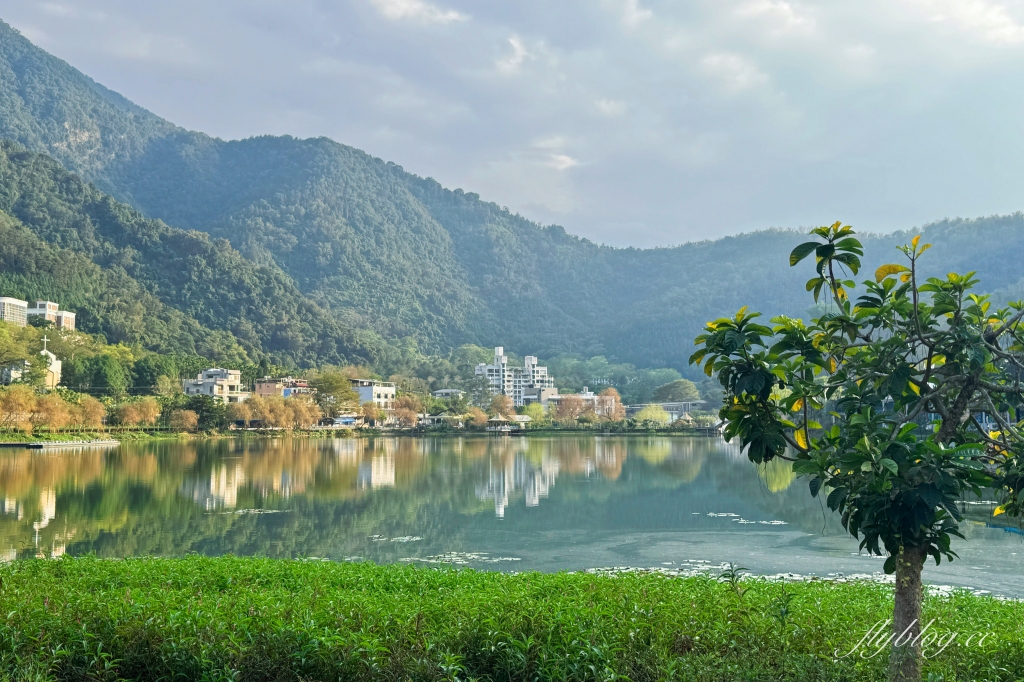 南投埔里｜鯉魚潭風景區．擁有小西湖的美譽，波光粼粼的天然湖泊 @飛天璇的口袋