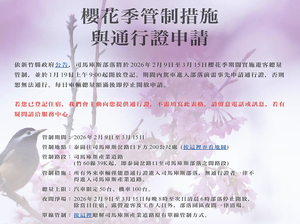 新竹尖石|司馬庫斯.2026櫻花季開跑了,上帝的部落泰雅族賞櫻秘境 @飛天璇的口袋 新竹尖石|司馬庫斯.2026櫻花季開跑了,上帝的部落泰雅族賞櫻秘境 @飛天璇的口袋