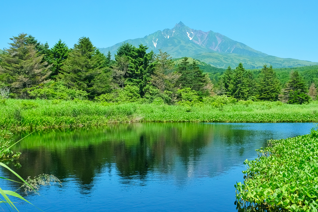 【北海道自由行】5~15天自駕行程懶人包，札幌、富良野、稚內、知床五湖完整規劃 @飛天璇的口袋