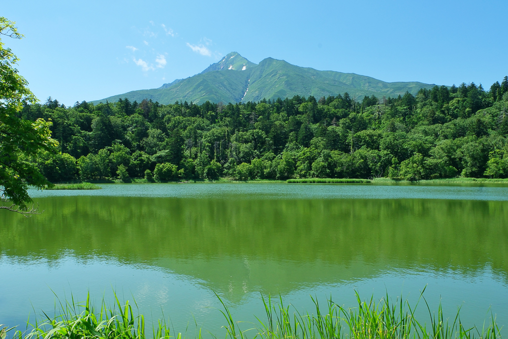 【北海道自由行】5~15天自駕行程懶人包，札幌、富良野、稚內、知床五湖完整規劃 @飛天璇的口袋
