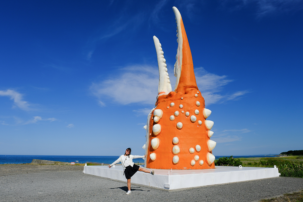【北海道自由行】5~15天自駕行程懶人包，札幌、富良野、稚內、知床五湖完整規劃 @飛天璇的口袋