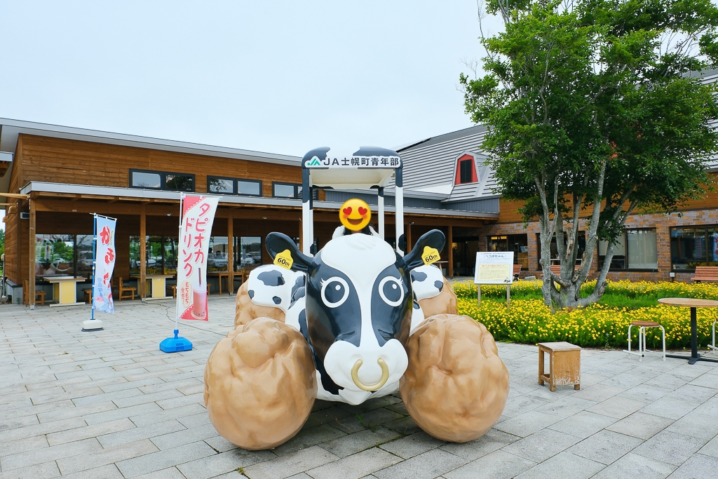 【北海道自由行】5~15天自駕行程懶人包，札幌、富良野、稚內、知床五湖完整規劃 @飛天璇的口袋
