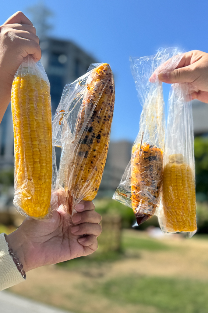 【北海道自由行】5~15天自駕行程懶人包，札幌、富良野、稚內、知床五湖完整規劃 @飛天璇的口袋