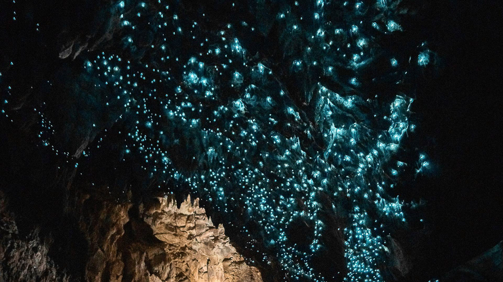 【紐西蘭自由行】南島10天自駕+北島5天，機票簽證、旅遊路線、飯店住宿、美食景點 @飛天璇的口袋