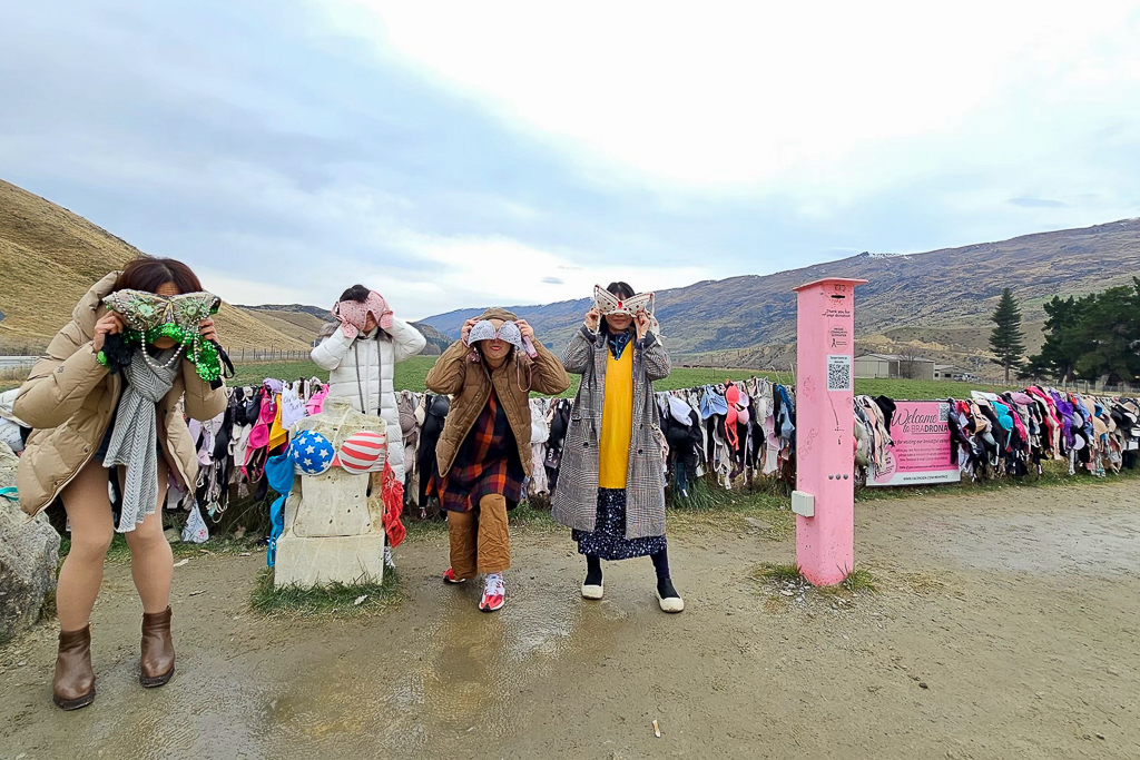 紐西蘭南島|卡德羅納胸罩圍欄.著名的Cardrona Bra Fence,瓦納卡奇特打卡景點 @飛天璇的口袋 紐西蘭南島|卡德羅納胸罩圍欄.著名的Cardrona Bra Fence,瓦納卡奇特打卡景點 @飛天璇的口袋