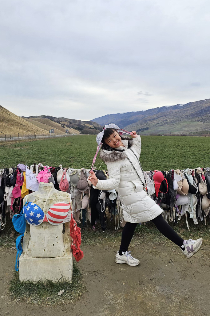 紐西蘭南島|卡德羅納胸罩圍欄.著名的Cardrona Bra Fence,瓦納卡奇特打卡景點 @飛天璇的口袋 紐西蘭南島|卡德羅納胸罩圍欄.著名的Cardrona Bra Fence,瓦納卡奇特打卡景點 @飛天璇的口袋