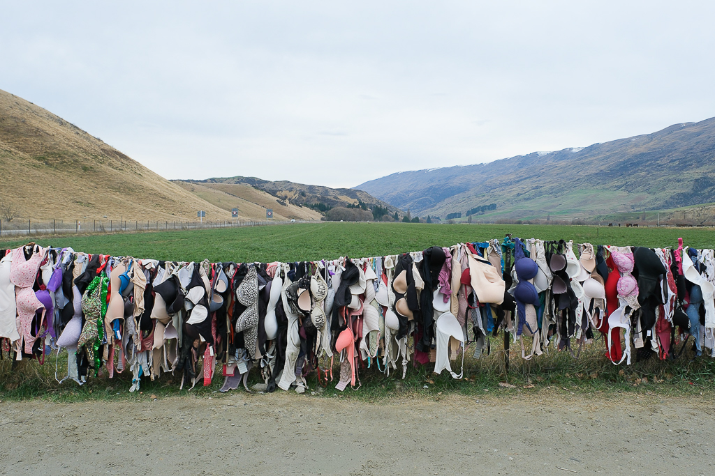 紐西蘭南島|卡德羅納胸罩圍欄.著名的Cardrona Bra Fence,瓦納卡奇特打卡景點 @飛天璇的口袋 紐西蘭南島|卡德羅納胸罩圍欄.著名的Cardrona Bra Fence,瓦納卡奇特打卡景點 @飛天璇的口袋