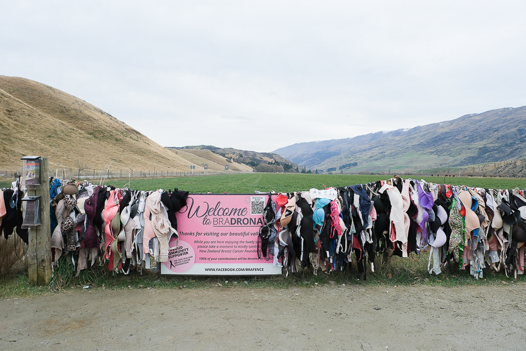 紐西蘭南島|卡德羅納胸罩圍欄.著名的Cardrona Bra Fence,瓦納卡奇特打卡景點 @飛天璇的口袋 紐西蘭南島|卡德羅納胸罩圍欄.著名的Cardrona Bra Fence,瓦納卡奇特打卡景點 @飛天璇的口袋