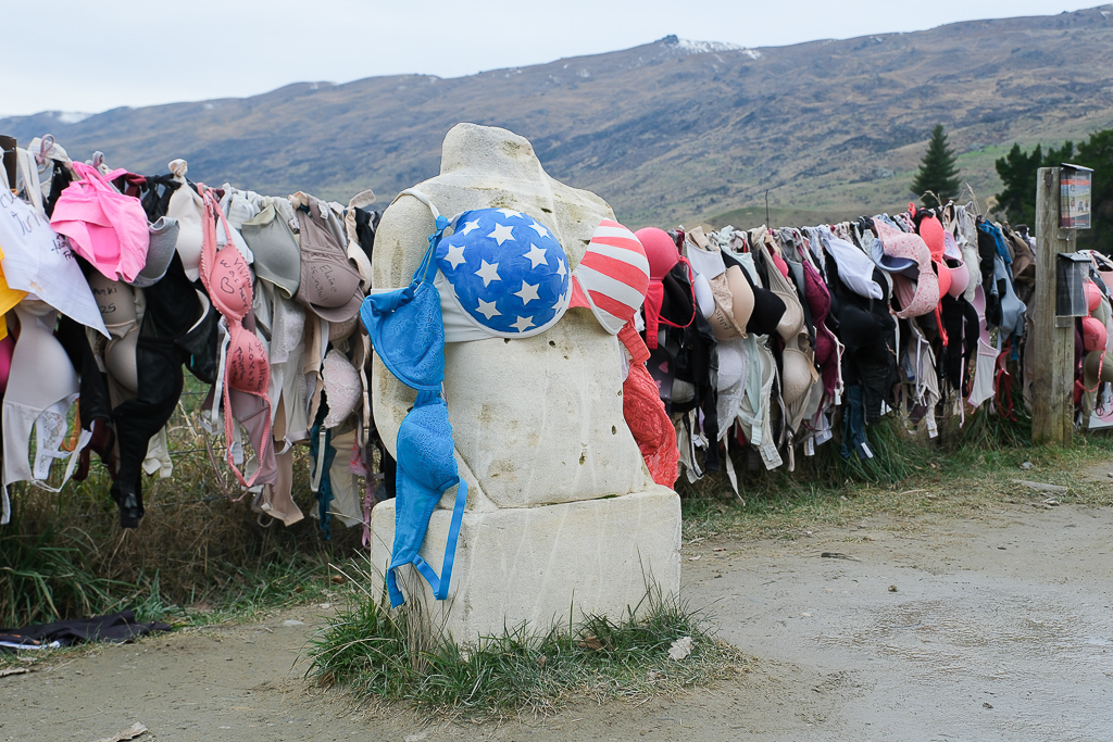 紐西蘭南島|卡德羅納胸罩圍欄.著名的Cardrona Bra Fence,瓦納卡奇特打卡景點 @飛天璇的口袋 紐西蘭南島|卡德羅納胸罩圍欄.著名的Cardrona Bra Fence,瓦納卡奇特打卡景點 @飛天璇的口袋